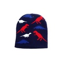 [35973] GORRO ROCKY 6 A 8 AÑOS DINOSAURIOS