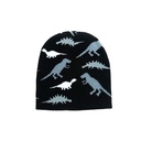 [35973] GORRO ROCKY 6 A 8 AÑOS DINOSAURIOS