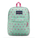 MOCHILA 17" ESTAMPADAS Y LISAS JANSPORT