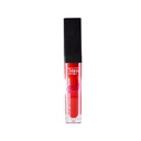 BRILLO LABIAL MATTE