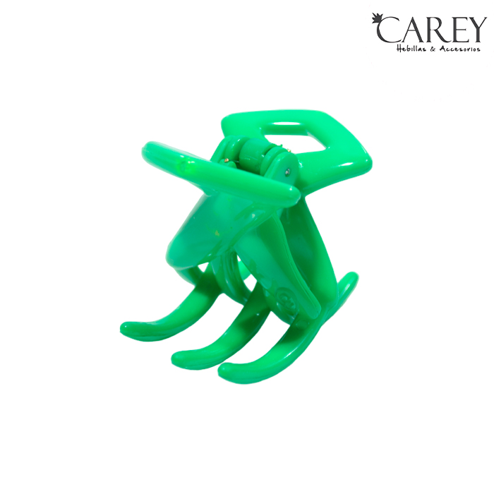 [33313] BROCHE GRANDE CAREY