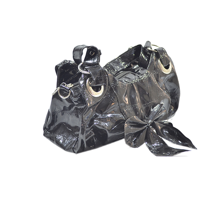 [L37610] CARTERA CHAROL