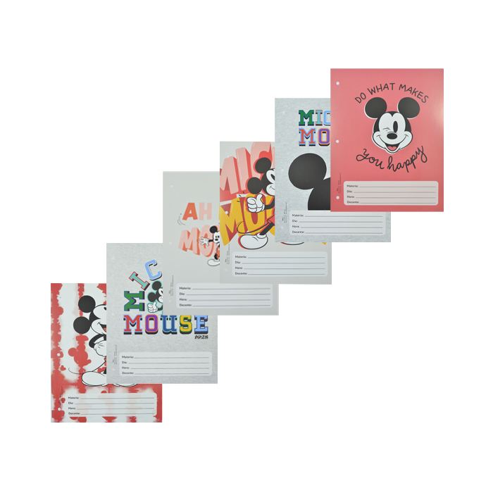 SEPARADOR Nº3 MICKEY