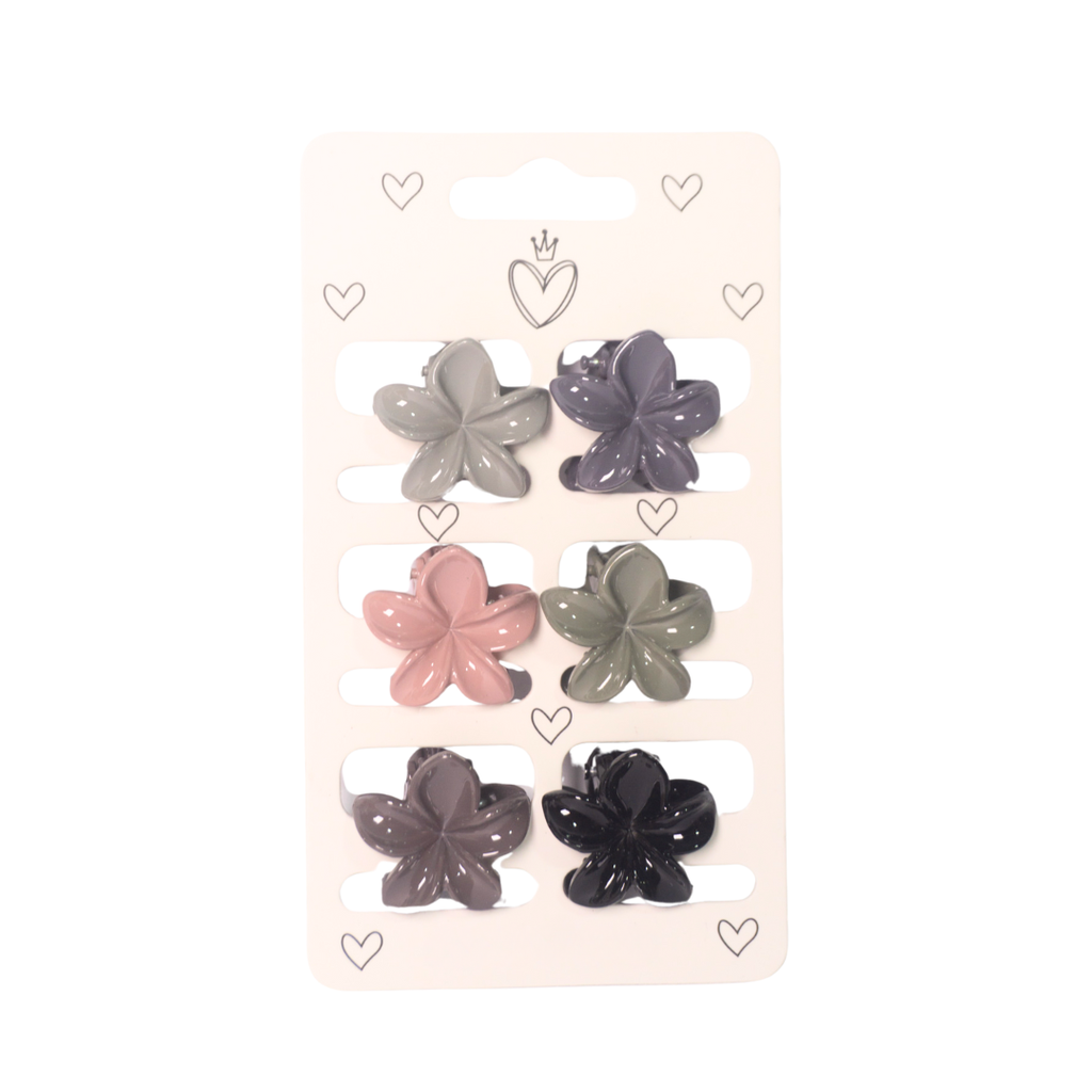 SET BROCHES FLOR X6