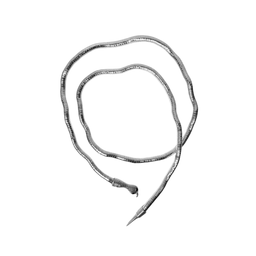 COLLAR BRAZALETE VIBORA MULTIUSO