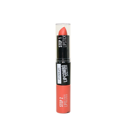 LAPIZ LABIAL + BRILLO LABIAL