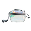 CARTERA TORNASOL